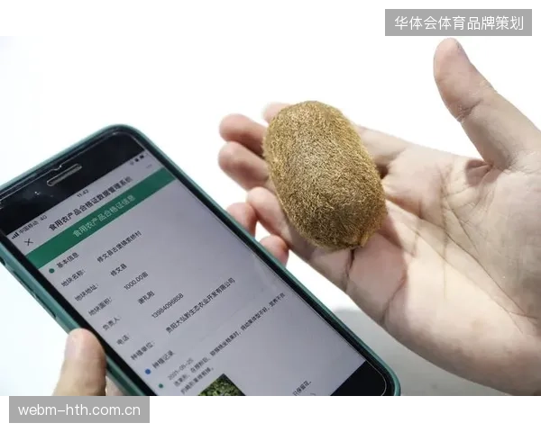 超过45%的非法票务流入非授权渠道，倒逼2026世界杯引入数字溯源强制绑定协议